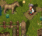 Midiara Town Exterior 2 - Astonishia Story