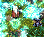 Shunai Desert Forest - Astonishia Story