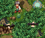 Hakshiman Island Secret Area - Astonishia Story