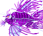 Hyper Sting - Super Darius / Darius Plus (JPN)