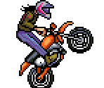 Biker - Teenage Mutant Ninja Turtles (Ubisoft)