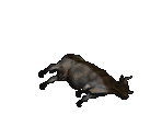 Dead Cow (Container) - Diablo 2 / Diablo 2: Lord of Destruction