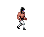 Bolo - Double Dragon 2: The Revenge