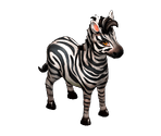 Zebra - Big Farm Theory