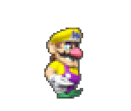 Wario - Wario: Master of Disguise