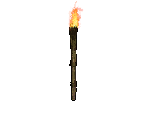 Torch - Diablo 2 / Diablo 2: Lord of Destruction