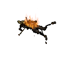 Dead Amazon (Burning) - Diablo 2 / Diablo 2: Lord of Destruction