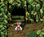 Purplonin Cave 1F 2F - Astonishia Story