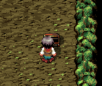 Purplonin Cave 1F 2F-2 - Astonishia Story