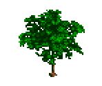 Foliage (Medium) - Zoo Tycoon DS