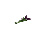 Black Roses - The Sims