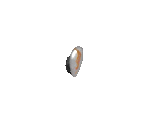 Oval Glass Sconce - The Sims