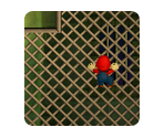 Cage Match - Mario Party 9