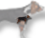 Dog - The Deed