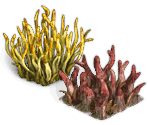 Coral - Zombie Island