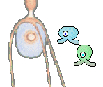 Tripod - Gingiva