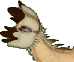 Thumb Sucker - Gingiva