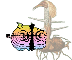 Loopsy - Gingiva