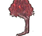 Strawberry Blonde - Gingiva