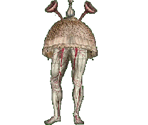 Puns - Gingiva