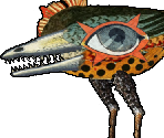 Noshka - Gingiva
