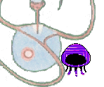 Orb - Gingiva