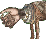 Sleeves - Gingiva