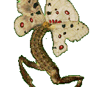 Dandy - Gingiva