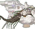 First Person Shooter - Gingiva