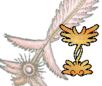 Feather - Gingiva
