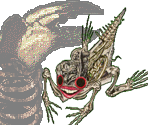Monsanto - Gingiva