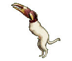 Crabdog - Gingiva