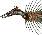 Catch of the Day - Gingiva