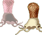 Bad Mix - Gingiva