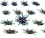 Mine - Gingiva