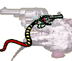 Second Person Shooter - Gingiva