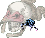 Brown Noser - Gingiva