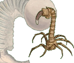 Feets and Swivel Seat - Gingiva