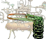 Saddler - Gingiva