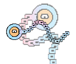 Getley - Gingiva