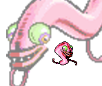 Vermillis Maximus - Gingiva