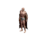 Closed Leather Cloak (Back) - Siege of Avalon
