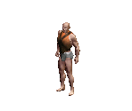 Chest Piece 1 - Siege of Avalon