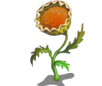 Pie Flower - Fairy Farm