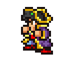 Bikke - Final Fantasy 1 Customs