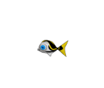 Killer Fish - Fishing Frenzy