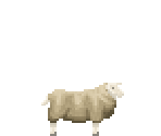 Animals - Moirai