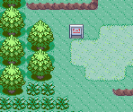 Route 101 - Pokémon Ruby / Sapphire
