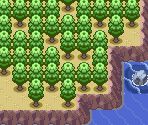 Route 107 - Pokémon Ruby / Sapphire