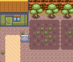 Route 114 - Pokémon Ruby / Sapphire